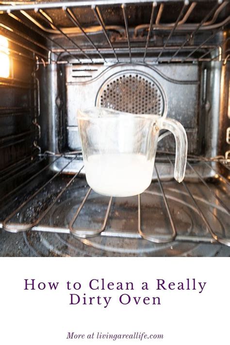 How to Use a Non-Toxic Oven Cleaner for a Healthier Kitchen