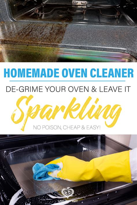 Why You Should Avoid DIY Oven Cleaner Recipes